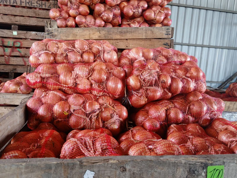 Cebollas en sacos de malla roja sobre cajones