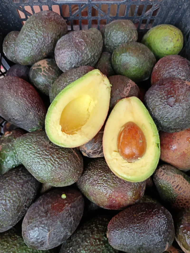 Paltas enteras y una palta abierta en una caja